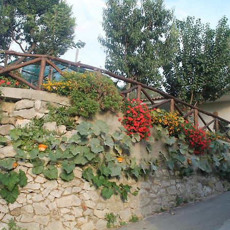 Casa Vacanze Chery Sorrento Bagian luar foto
