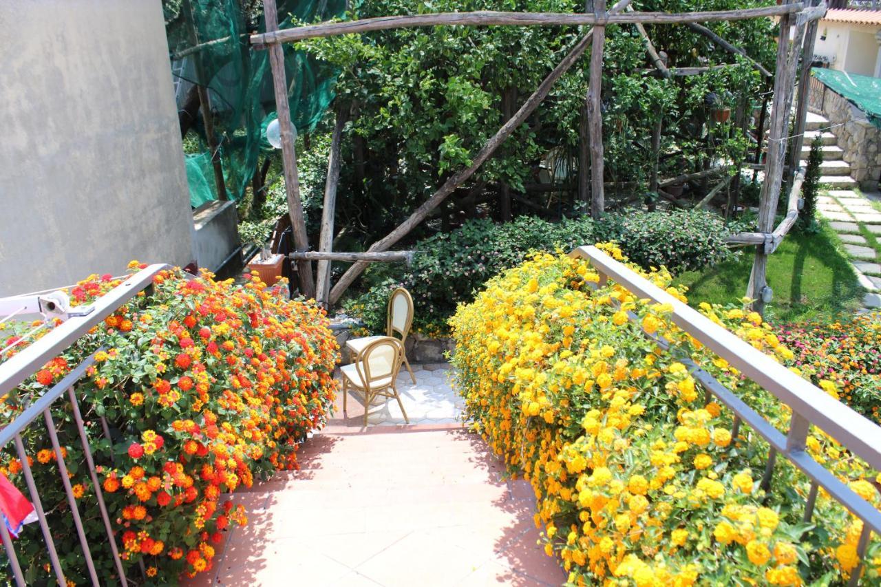 Casa Vacanze Chery Sorrento Bagian luar foto