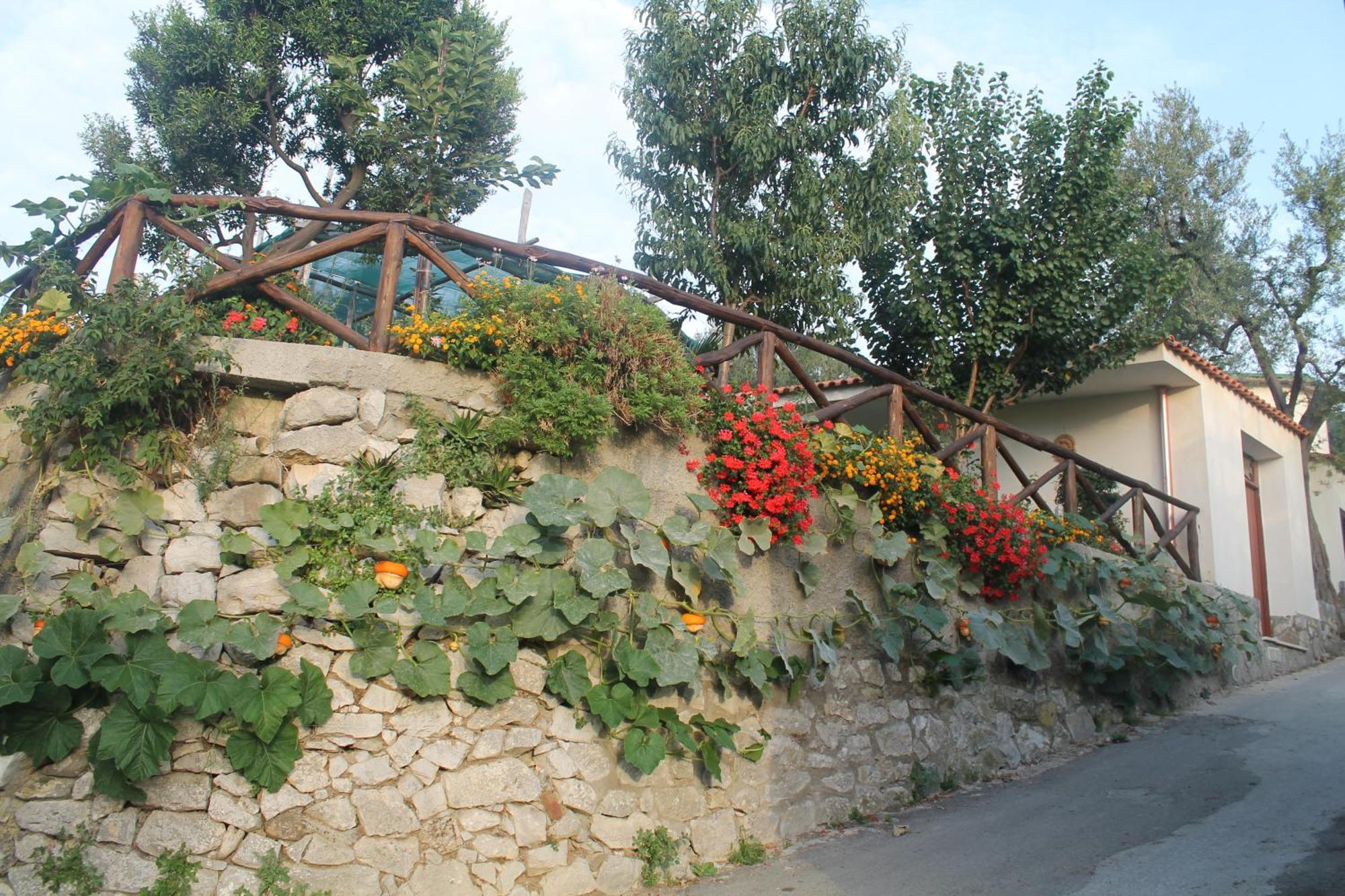 Casa Vacanze Chery Sorrento Bagian luar foto