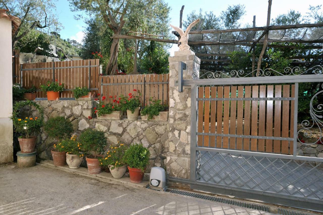 Casa Vacanze Chery Sorrento Bagian luar foto