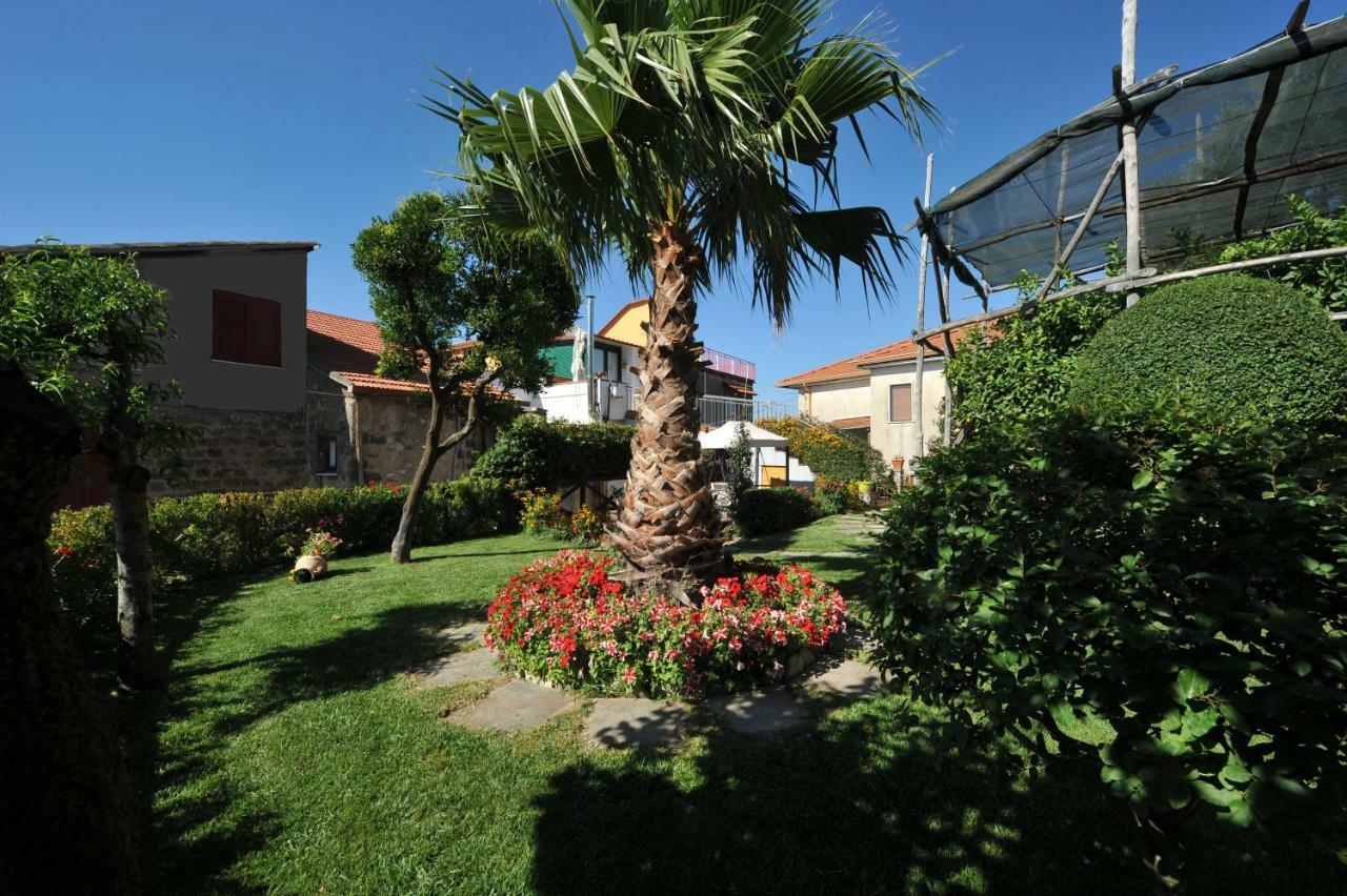 Casa Vacanze Chery Sorrento Bagian luar foto